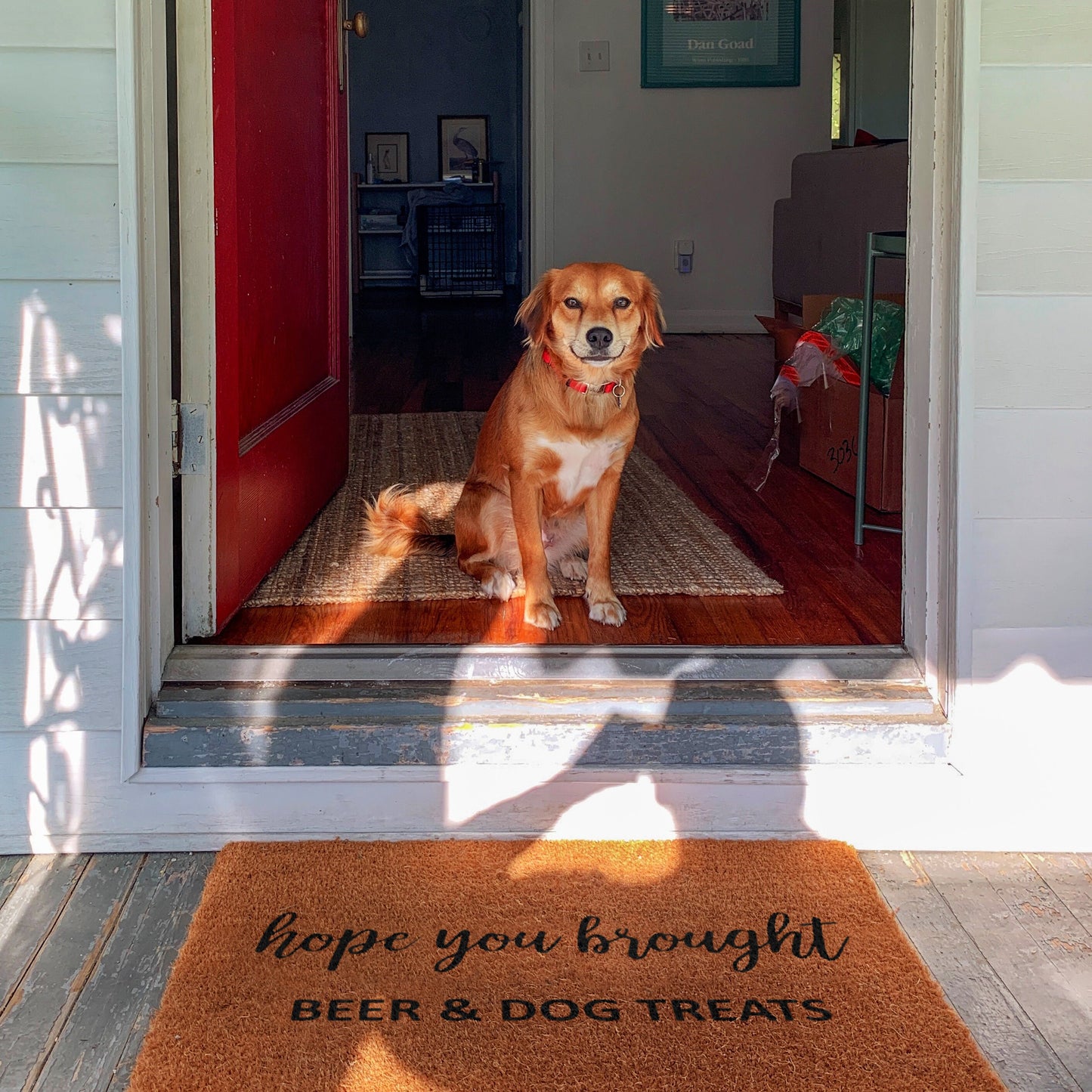 Beer Dog Treats Doormat, Hope You Brought Beer and Dog Treats Mat, Beer and Dog Treats Doormat, Welcome Doormats, Funny Beer Mat