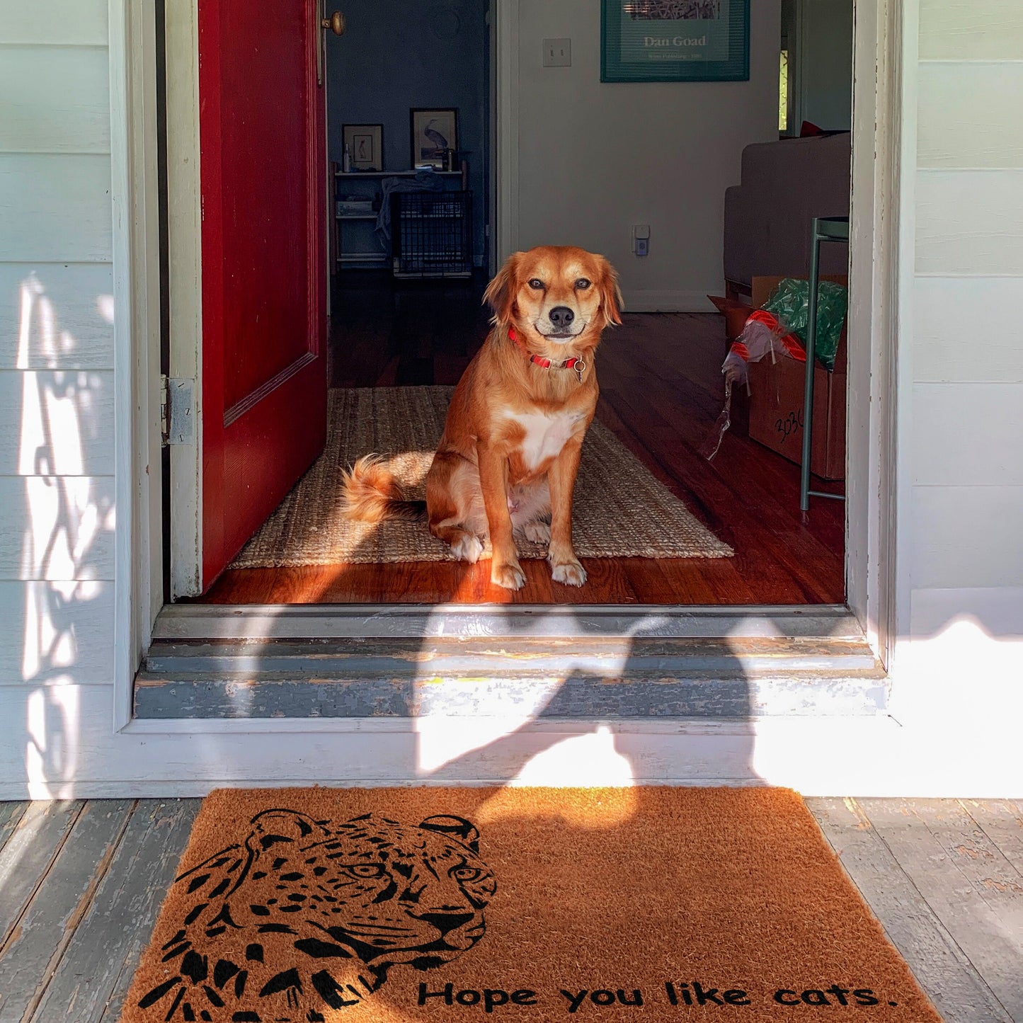 Hope You Like Cats Doormat, Cats Welcome Doormats, Cats Doormat, Housewarming Cats Gift Doormats, Welcome Cat Funny Doormats