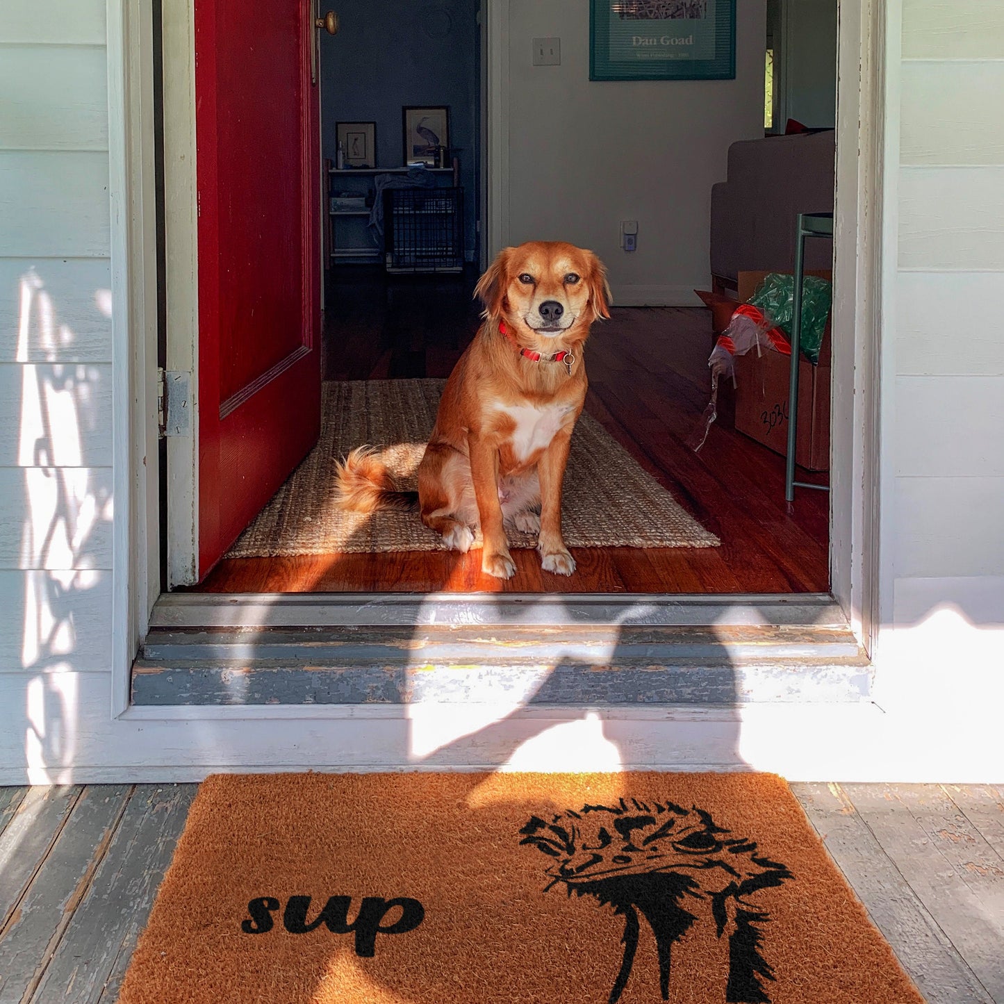 Sup Doormat, Sup Door Mat, Sup Ostrich Welcome Mat, Sup Mat, Sup, Funny Doormat, Whats Up Doormat, Sup Rug, Whats Up, What's Up Doormat