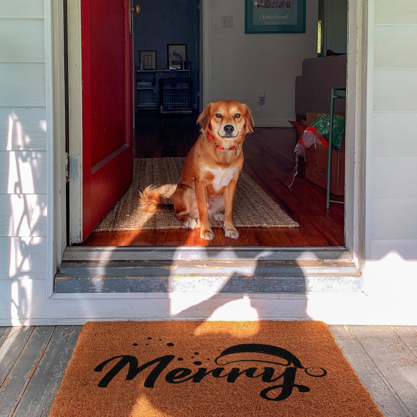 Merry Doormat, Merry Christmas Coir Door Mat, Front Door Mat, Outdoor Mats, Funny Doormat, Welcome Mats, Christmas Coir Mats