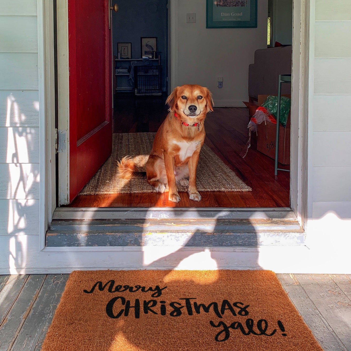 Merry Christmas Yall Doormats, Merry Christmas Coir Door Mat, Front Door Mat, Funny Christmas Doormat, Welcome Mats, Coir Mats