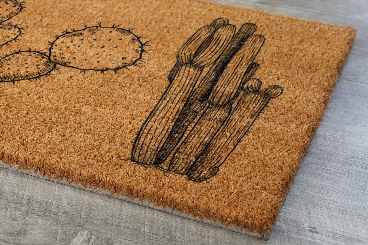 Dessert Cactus Doormat, Welcome Doormats, Cactuses Doormats, Cactus Coir Mats, Welcome Funny Door Mats