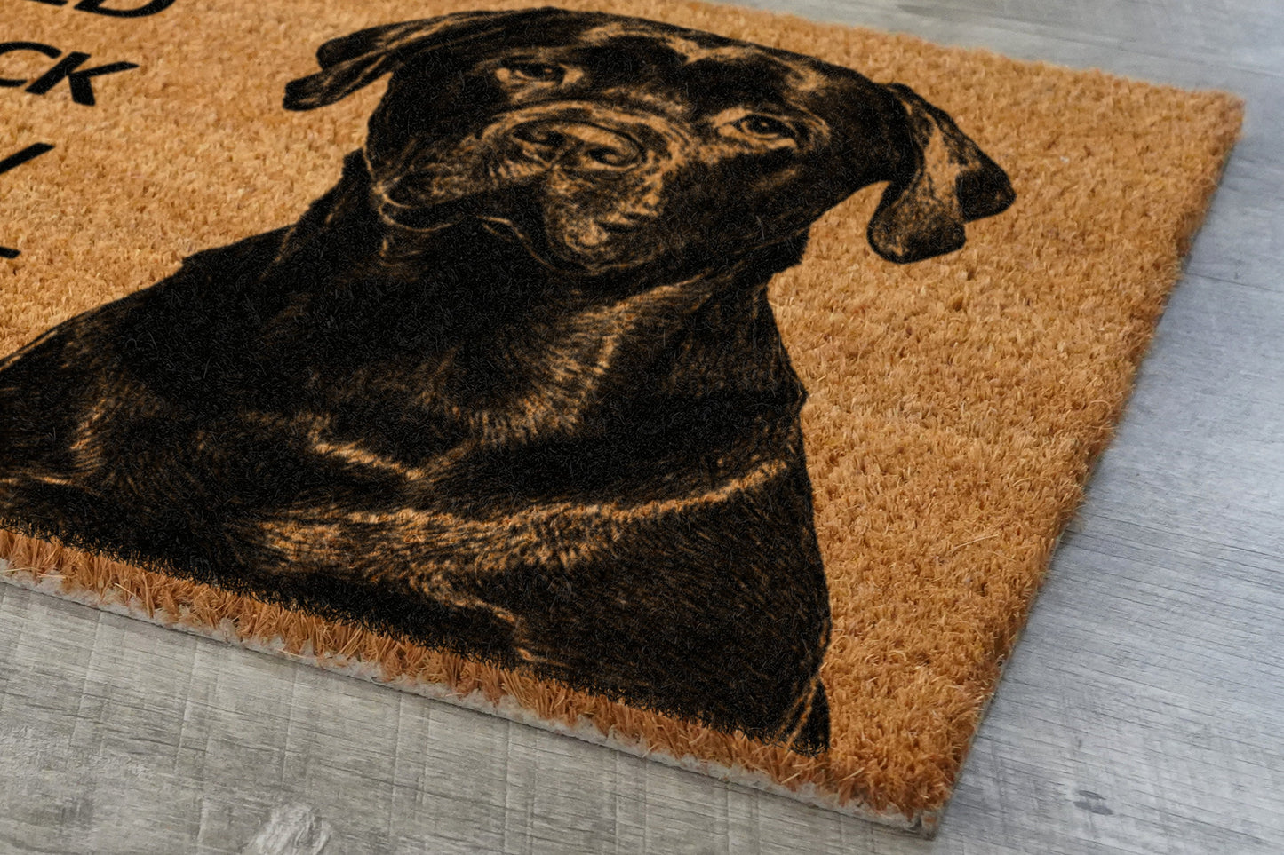 The Labrador Door Mat, Chocolate Labrador We Know You ARE Here Rottweiler Dogs Door Mats, Funny Labrador Doormat, Welcome Mats