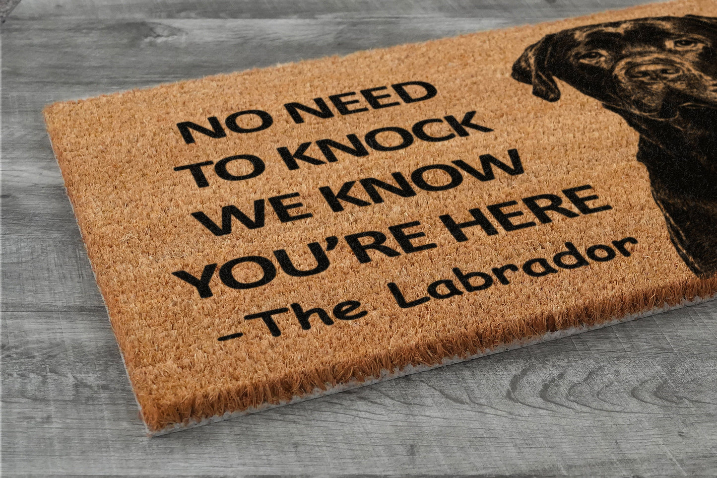 The Labrador Door Mat, Chocolate Labrador We Know You ARE Here Rottweiler Dogs Door Mats, Funny Labrador Doormat, Welcome Mats