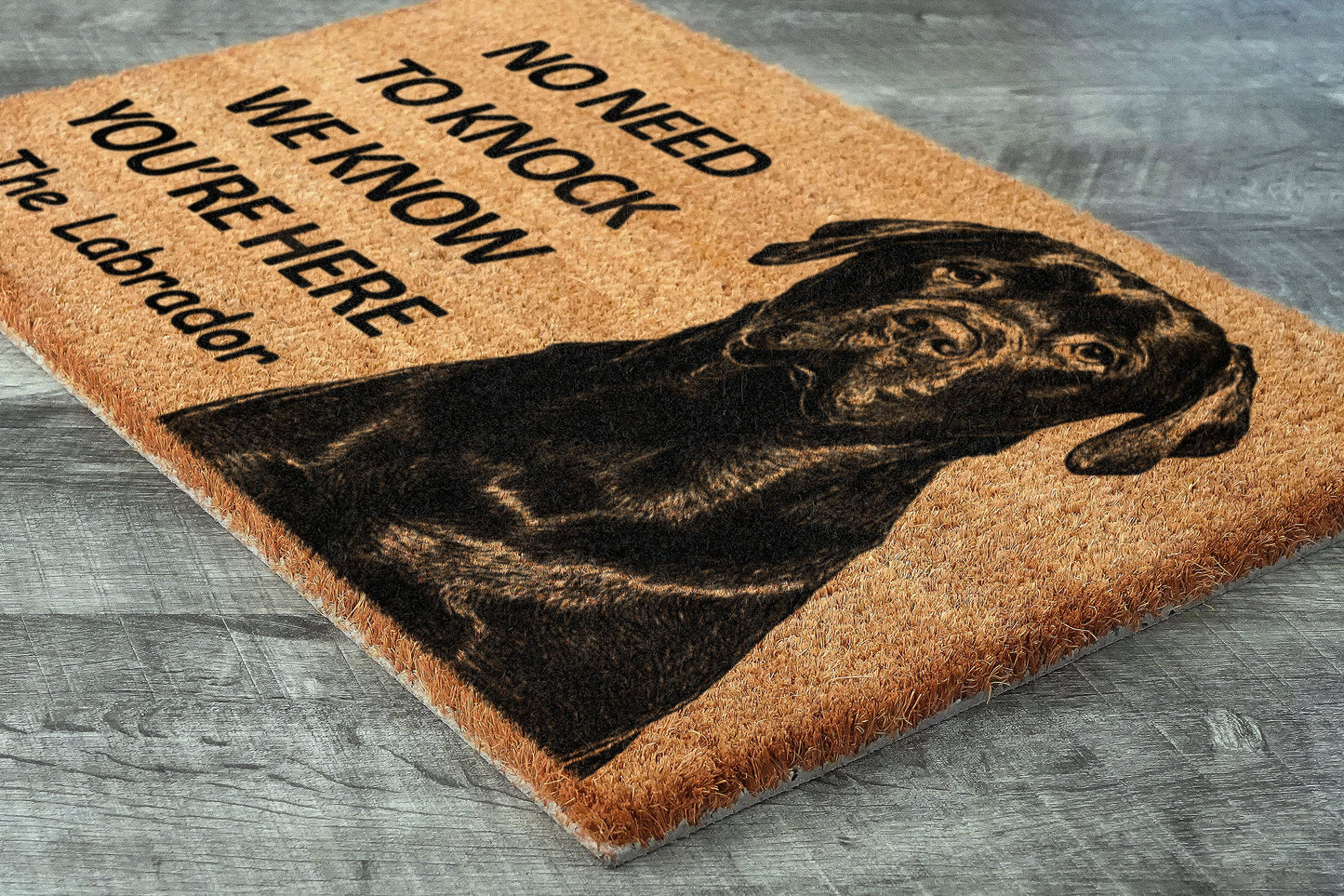 The Labrador Door Mat, Chocolate Labrador We Know You ARE Here Rottweiler Dogs Door Mats, Funny Labrador Doormat, Welcome Mats