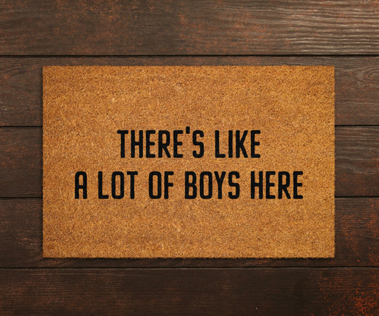 Welcome Boys Doormat, Welcome There is like a lot of Boys Here Door Mats, Boys Mat, Home Doormats, Funny Doormat, Hi Funny Mat, Hi Doormat
