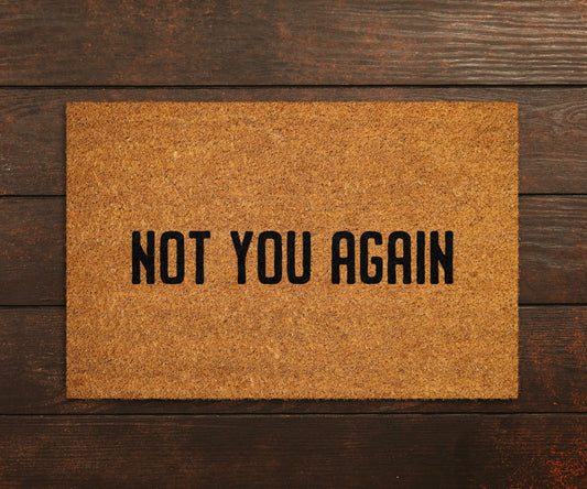 Welcome Not You Again Doormats, Not You Again DoorMat, Home Doormats, Funny Doormat, Funny Mats, Gift Doormats, Porch Door Mats