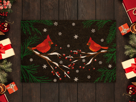 Christmas Cardinal Birds, Christmas Snow Dark Night Coir Door Mat, Front Door Mat, Outdoor Mats, Funny Doormat, Welcome Mats, Coir Mats