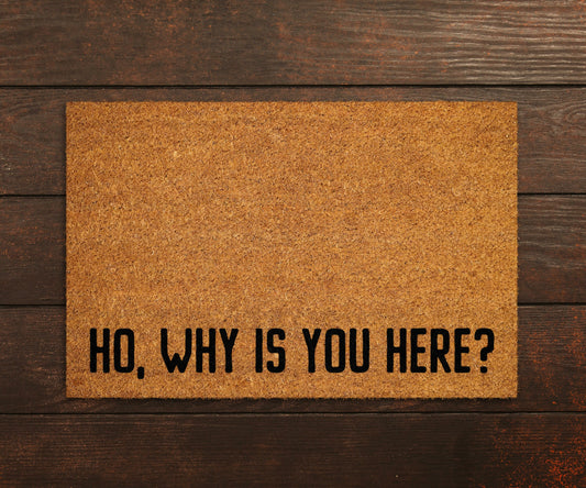 Welcome Why is You Here Doormats, Welcome Why is You Here Door Mat, Home Doormats, Funny Doormat, Funny Mats, Gift Doormats