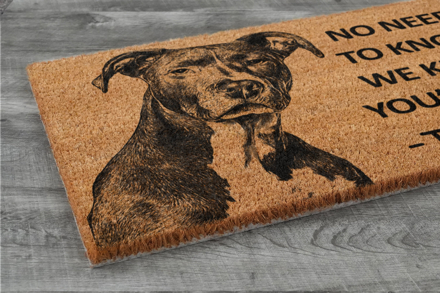 The Pitbull Home Door Mat, Pitbull We Know You ARE Here Coir Doormat, Spring Door Mats, Funny Doormat, Welcome Mats