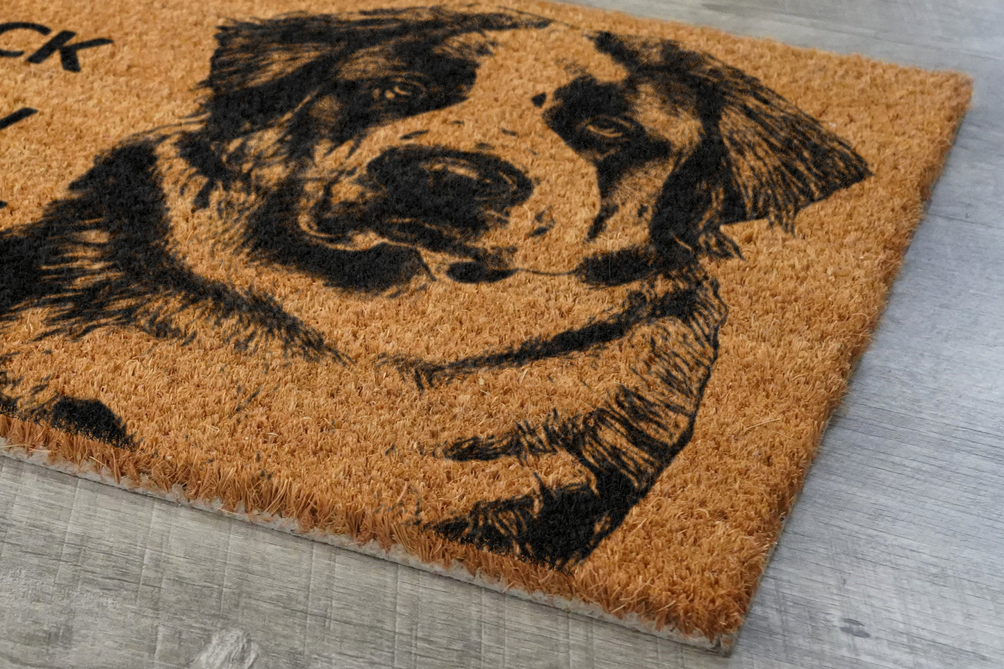 The St. Bernard Home Door Mat, Pitbull We Know You ARE Here Coir Doormat, Spring Door Mats, Funny Doormat, Welcome Mats