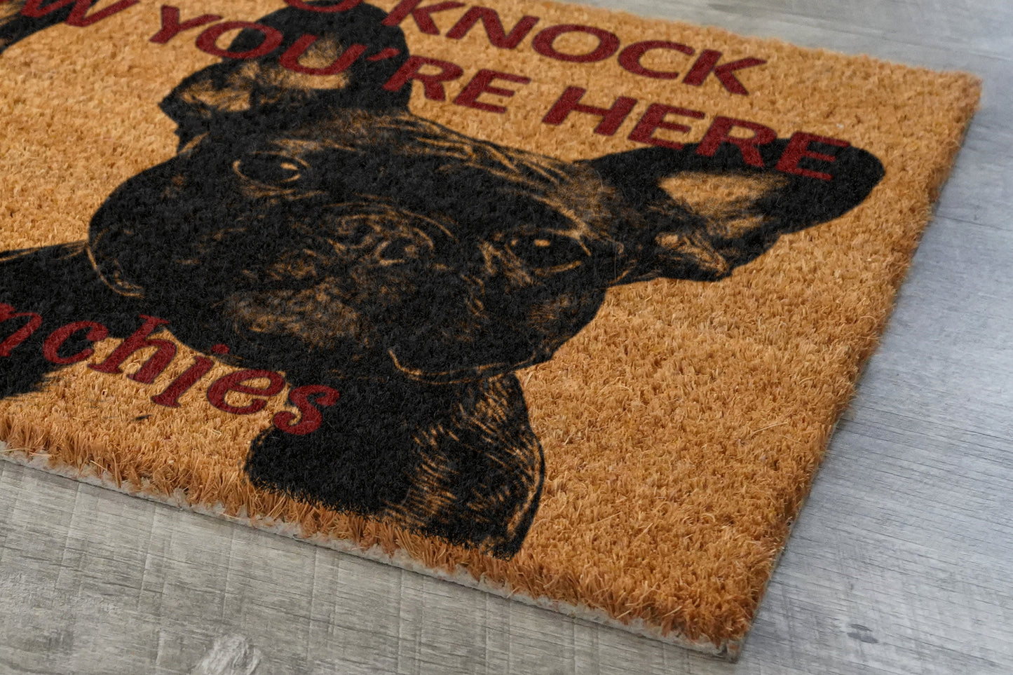 Frenchies Door Mat, French Bulldogs We Know You ARE Here Spring Door Mats, Funny French Bulldog Doormat, Welcome Frenchie Outdoor Coir Mats