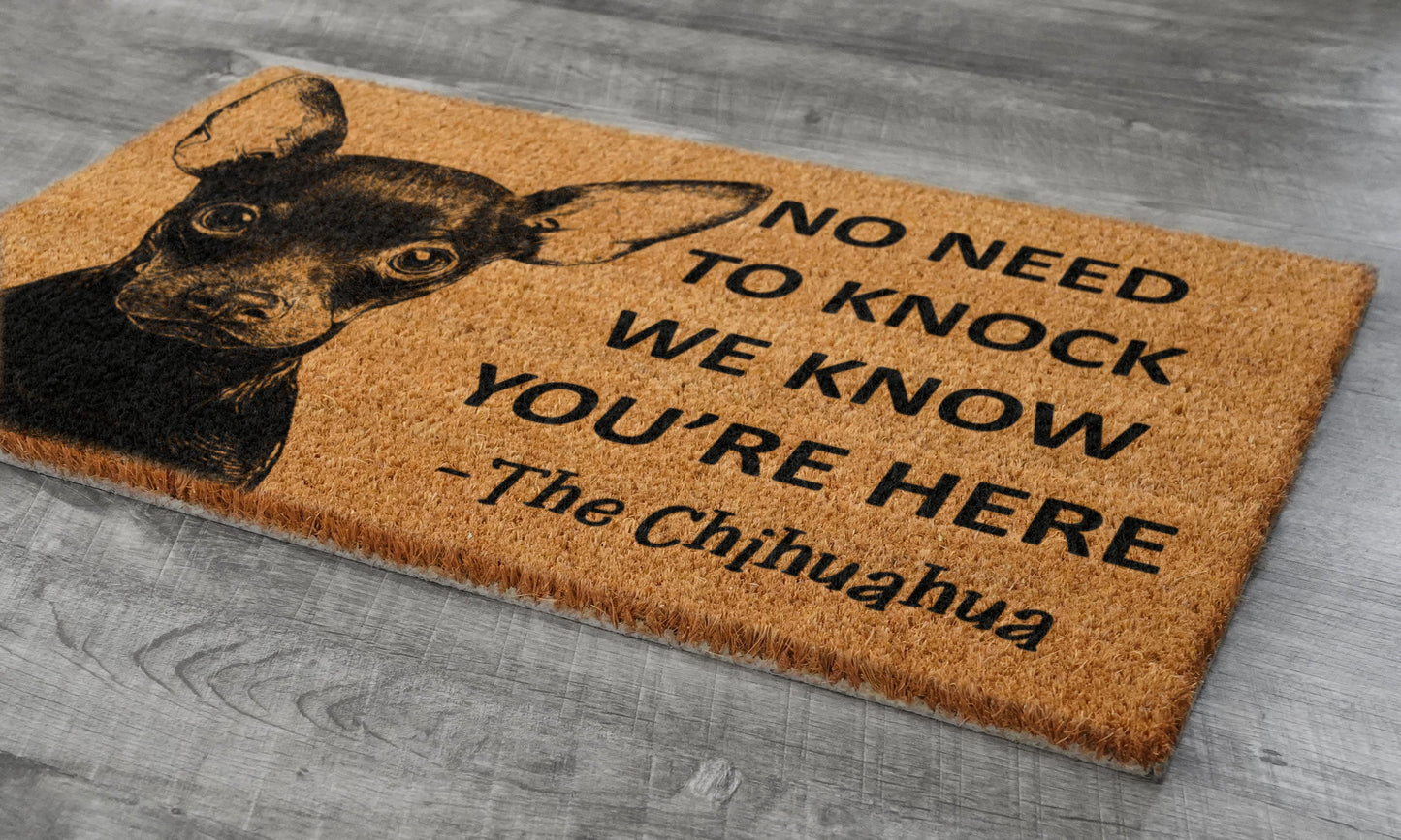 Welcome Chihuahua Doormat, No Need to Knock Chihuahua Door Mat, Chihuahuas Doormat, Welcome Chihuahuas Doormats, Welcome Dog Breed Mats