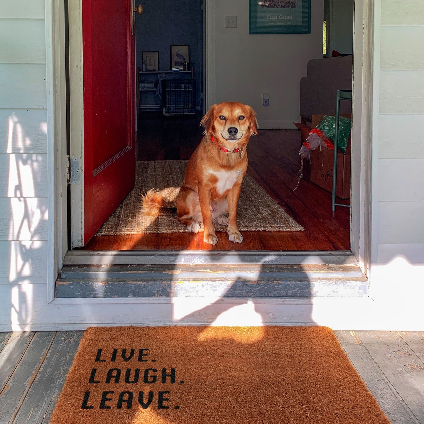 Live Laugh Leave Doormat, Live Door Mat, Laugh Doormat, Leave Doormats, Live, Laugh, Leave Mat, Funny Doormat, Welcome Mats