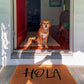 Hola Doormat, Welcome Mats, Front Door Hola Mats, Home Hola Doormats, Home Doormat, Welcome Mats, Welcome Doormat,