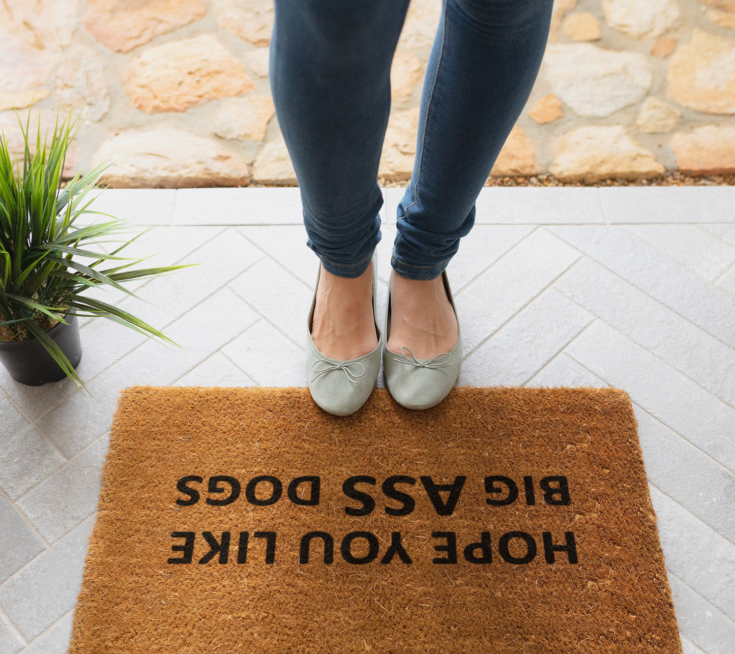 Hope You Like Big Ass Dogs Doormats, Welcome Doormat, Funny Door Mat, New Home Gift, Wedding Gift Doormat, Big Ass Dogs Door Mat