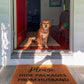 Please Hide Packages from Husband Doormat, Hide Packages Doormats, Husband Doormats, Packages Mats, Welcome Funny Doormats