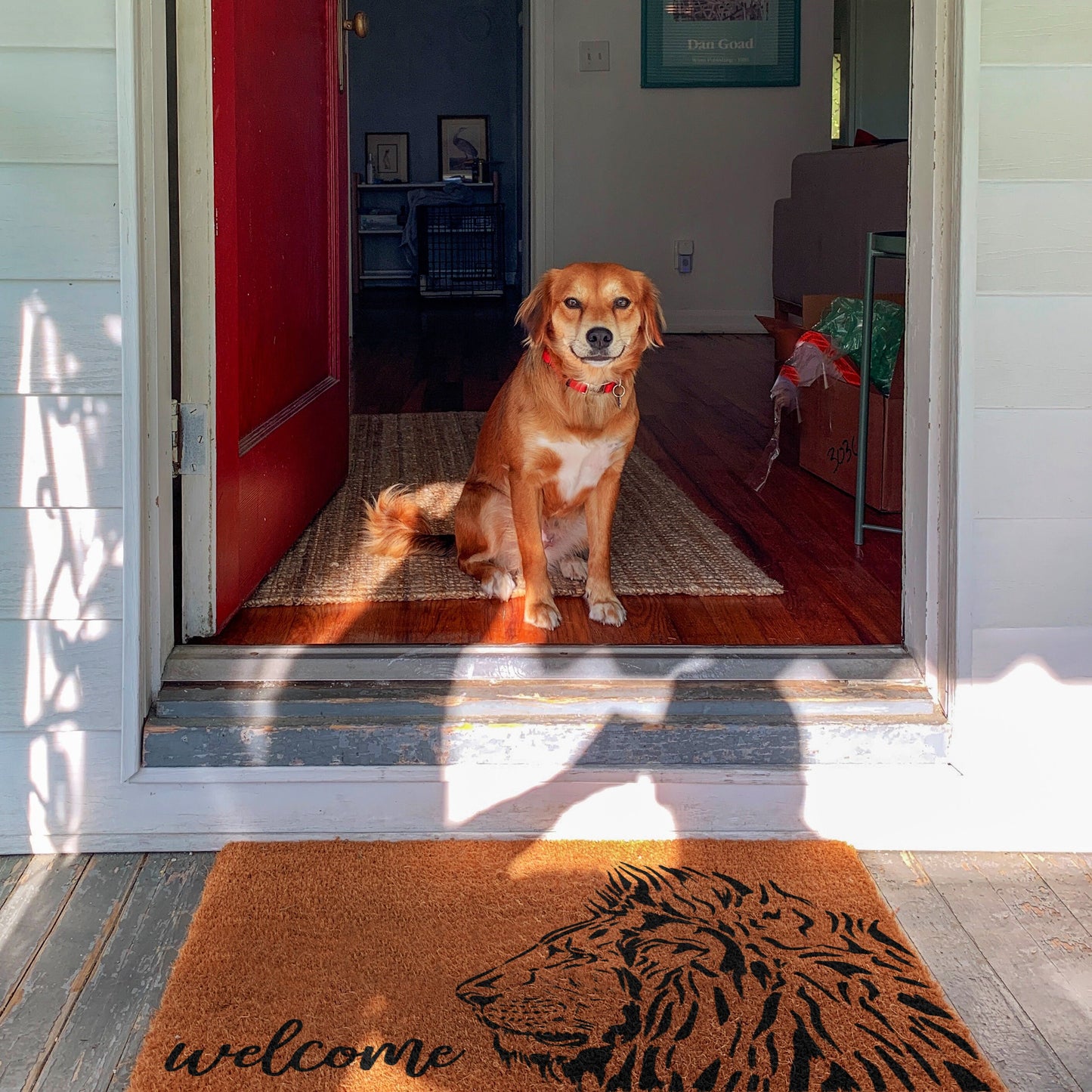 Welcome Doormat, Lion Welcome Doormats, Welcome Lion King Mat, Funny Doormat, Welcome Doormats, Welcome Door Mats