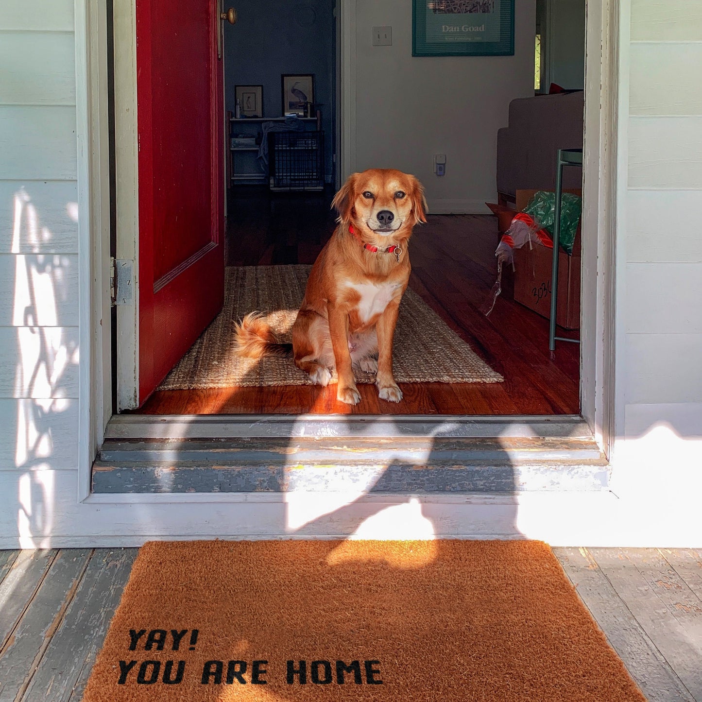 Welcome Yay You are Home Doormats, Welcome You are Home  Doormat, You are Home Doormat, Welcome Funny Doormat, Welcome Yay You are Home Mats