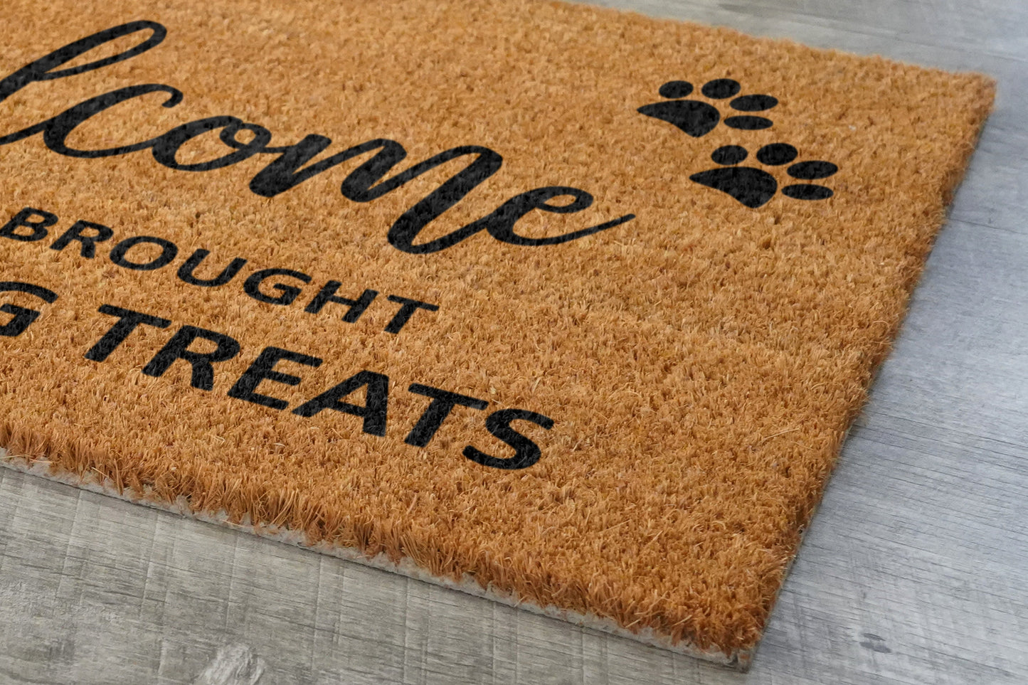 Taco and Dog Treats Door Mat, Hope You Brought Taco and Dog Treats Door Mats, Funny Taco and Dog Treats Doormat, Welcome Mats