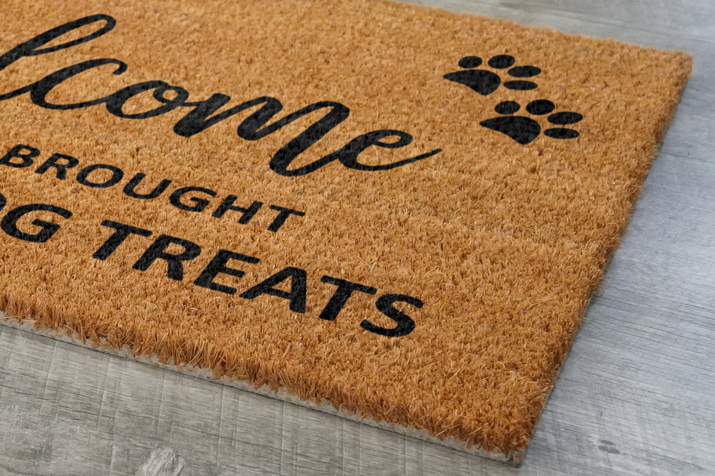 Booze and Dog Treats Mat, Hope You Brought Booze Door Mats, Funny Wine Doormat, Welcome Mats
