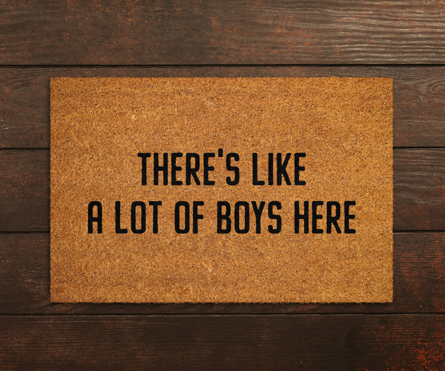 Welcome Boys Doormat, Welcome There is like a lot of Boys Here Door Mats, Boys Mat, Home Doormats, Funny Doormat, Hi Funny Mat, Hi Doormat